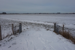 DSC02606