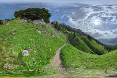 PXL_20260616_073140282.PHOTOSPHERE