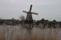 DSC02511