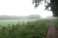 DSC03001