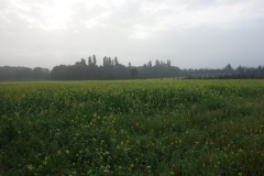 DSC03002