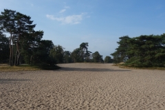 DSC03021