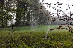 IMG_20210918_082313467_HDR