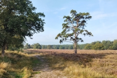 IMG_20210918_103911706_HDR