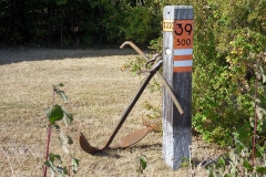 280