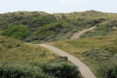 75