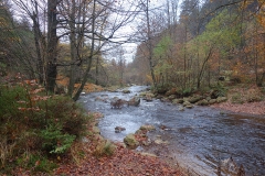 DSC02719