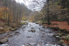 DSC02721