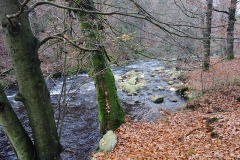 DSC02767
