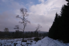 IMG_20161112_114658