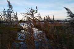 Untitled-10