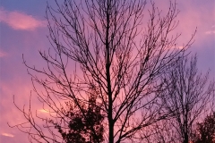 Untitled-12