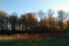 Untitled-3
