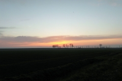 SAM_2433