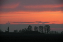 SAM_2449