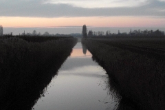 SAM_2458