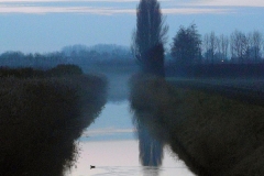 SAM_2460