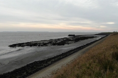 SAM_2474