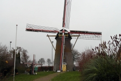 Untitled-11