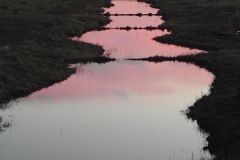 SAM_2570
