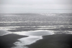 SAM_2661