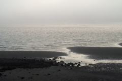 SAM_2662
