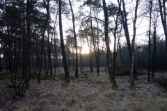 dsc02979