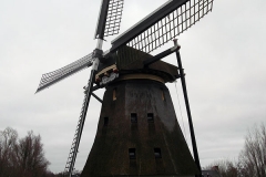 SAM_2681