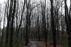 Untitled-7
