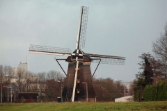Untitled-19