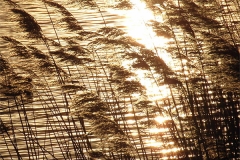 Untitled-22