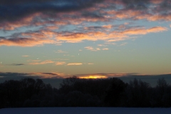SAM_2921