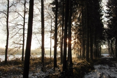 SAM_2929