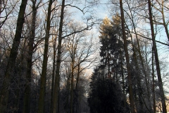 SAM_2932