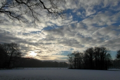 SAM_2935