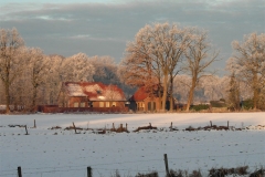 Untitled-10