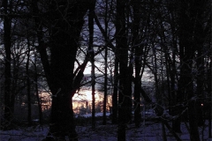 Untitled-3