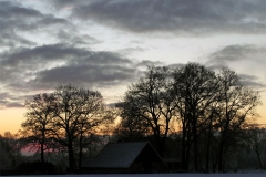 Untitled-6