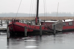 SAM_3017