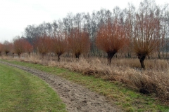Untitled-2