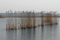 Untitled-8