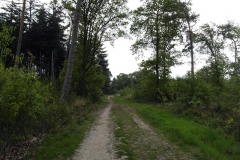 SAM_3490