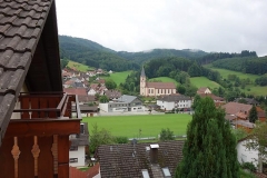 DSC03579-Copy