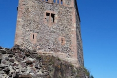 DSC03926-Copy