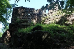 DSC03961-Copy