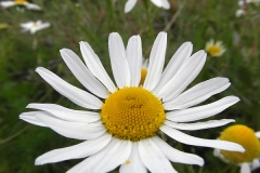 90