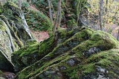 306 (Copy)