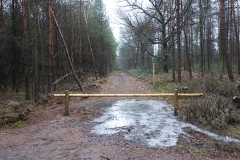 DSC00010