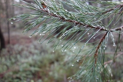 DSC00040