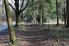 DSC00051
